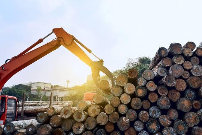 Forestal